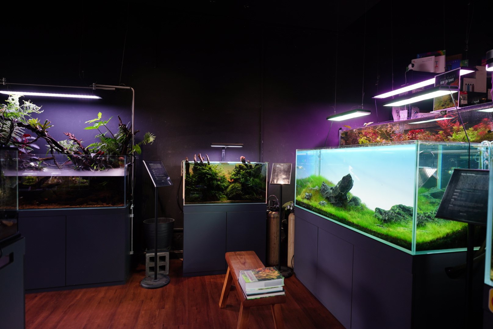A gallery corner with a stool, books and an iwagumi aquascape