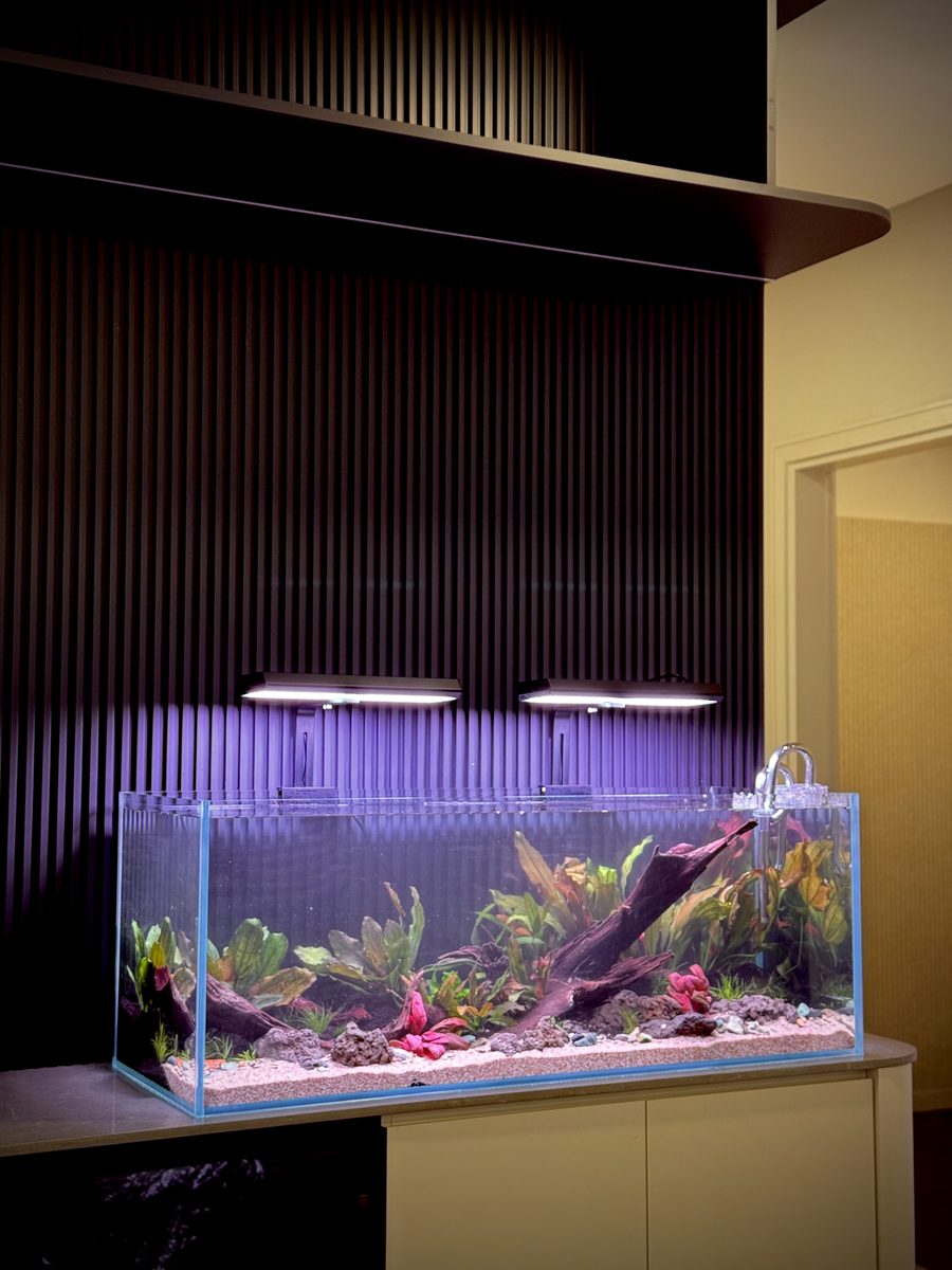 Aquarium on a cabinet against a slatted wood wall in a living room