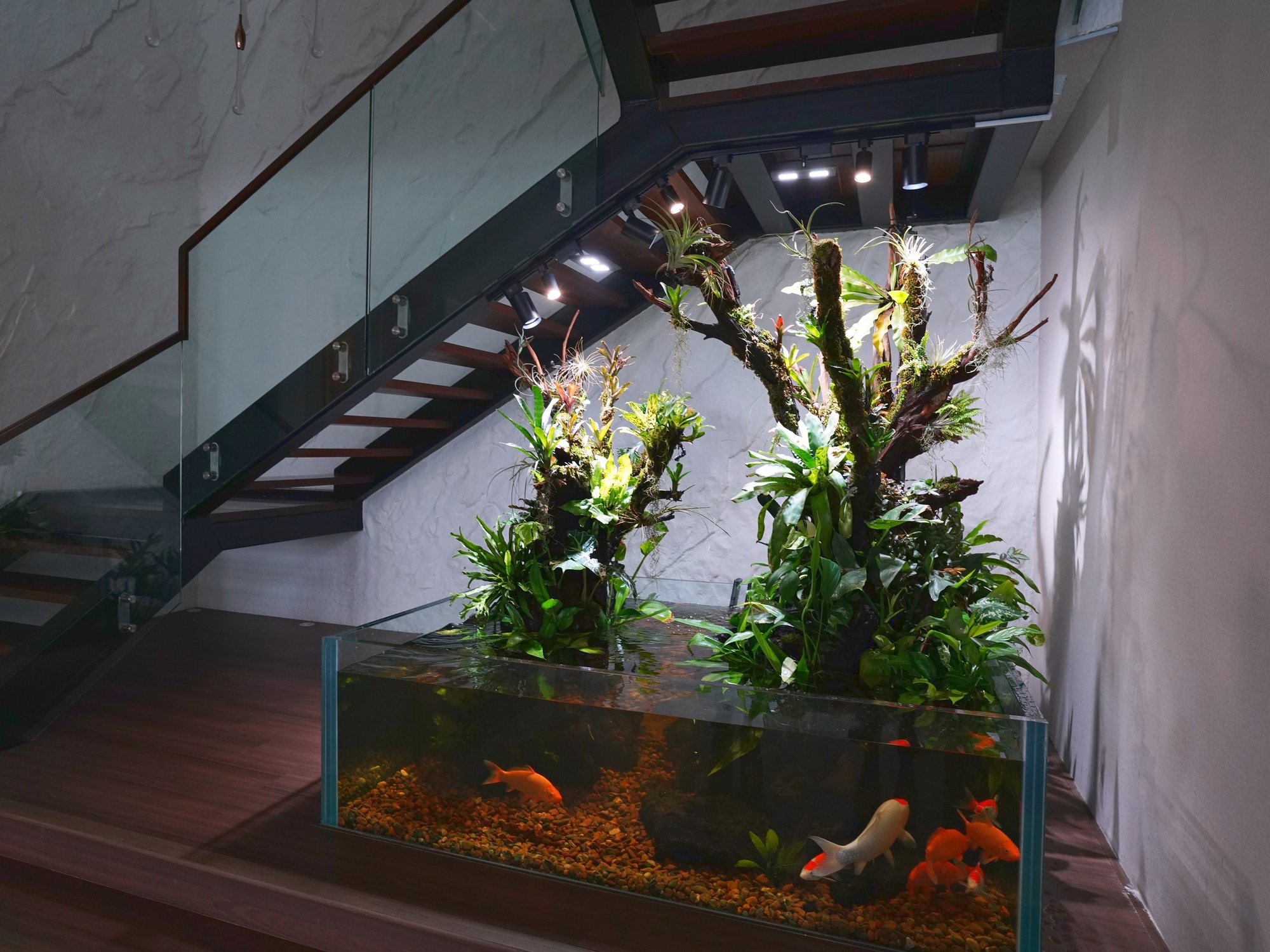 Paludarium with koi built under a staircase